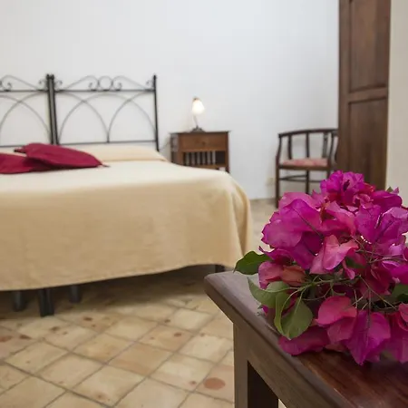 Bed & Breakfast Il Gelso Vacanze Malfa (Salina)
